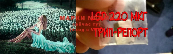гидра Белокуриха