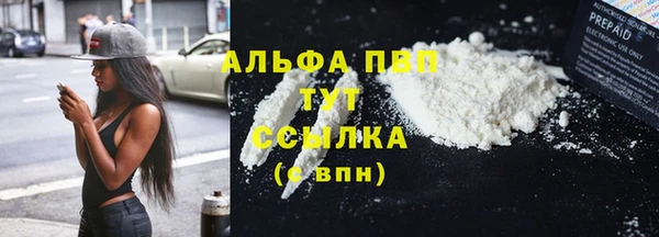 гидра Белокуриха