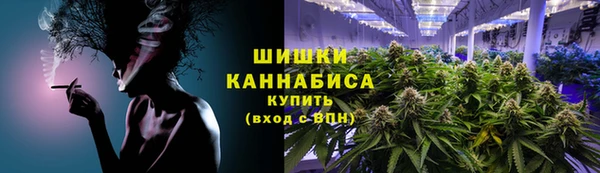 гидра Белокуриха