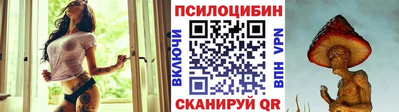 купить наркотик  Валдай  Псилоцибиновые грибы Psilocybe 